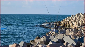 استقرار طقس الإسكندرية مع انحسار فرص الأمطار وتحذير من الشبورة الصباحية